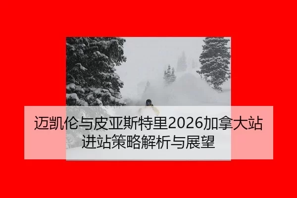 mai-kai-lun-yu-pi-ya-si-te-li-jia-na-da-zhan-jin-zhan-ce-lve-jie-xi-yu-zhan-wang-2-489.jpg